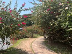 -中国科学院西双版纳热带植物园