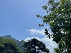 -秦岭终南山世界地质公园翠华山景区