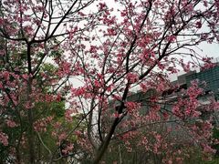 -广东工业大学(大学城校区)