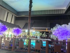 -上海环球金融中心骑迹50年环球之旅
