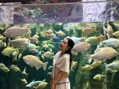 -南昌融创海世界