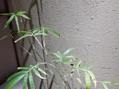 -竹里馆 ·茶食(奥体店)