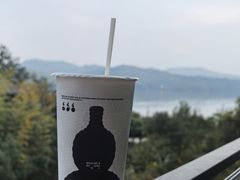 -天目湖涵田度假村
