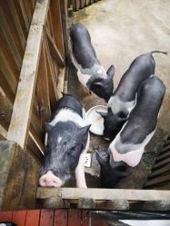 -三分地生态园·儿童乐园