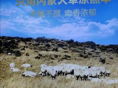 -浩爷羊蝎子火锅(望京店)