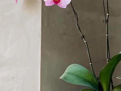 -十一咖啡(青年大街工厂店)