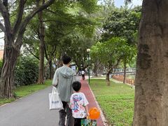 -荔湾湖公园