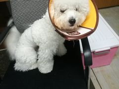 -芜湖方特东方神画