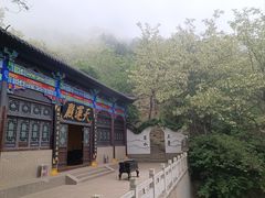 -石老人观光园