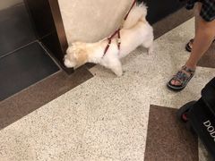 -绿茶餐厅(光谷世界城步行街店)