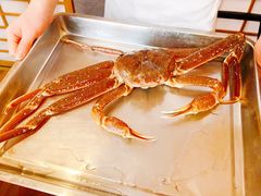 -綱元·海鲜豆捞(明州里店)