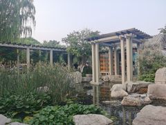 -百花洲