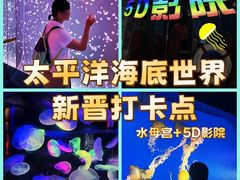 -太平洋海底世界