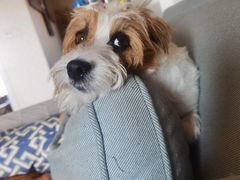 -德兴馆(福建中路店)