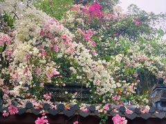 -深圳国际园林花卉博览园