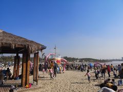 -九龙湖公园