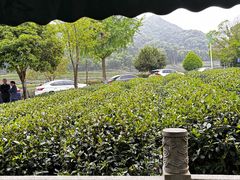 -听风阁农家私房菜茶楼(龙坞店)