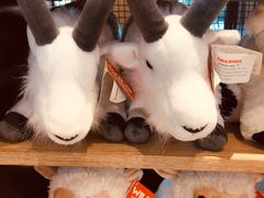 -ZOO COFFEE动物园咖啡(望京锐创店)
