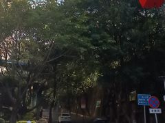 -攀枝花公园