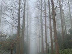 -上海怡沁园度假酒店