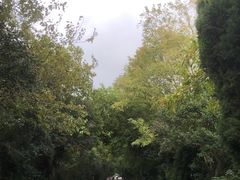-盐城丹顶鹤湿地生态旅游区