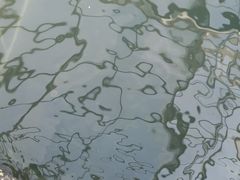-观唐（国际）度假村温泉