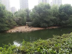 -长白岛森林公园