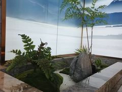 -华夏良子·足道SPA养生(上海崮山路明悦店)