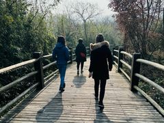 -雅达·阳羡溪山小镇中心