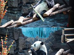 -济南野生动物世界