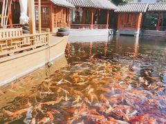 -香麒园·过桥米线·南湖雅宴