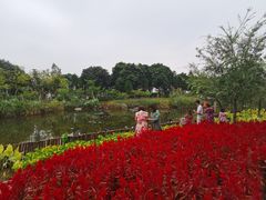 -映月湖公园