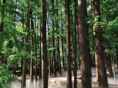 -东湖落雁景区