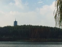 -宜兴龙背山森林公园