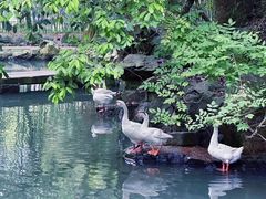 -兰亭风景区