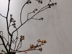 -长春银盐咖啡馆