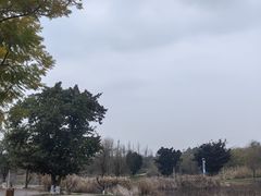-白鹭湾湿地公园