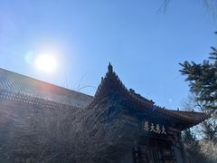 -哈尔滨极乐寺
