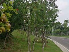 -中国银行江苏省分行培训中心