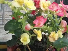 -复兴门(地铁站)