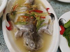 海鲈鱼-潮汕铺老店(甜水井店)