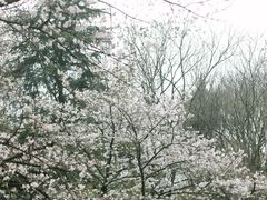 -杭州少年儿童公园
