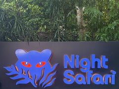 -夜间野生动物园