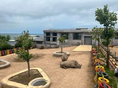 -西霞口神雕山野生动物世界