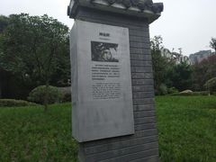 -神仙树公园