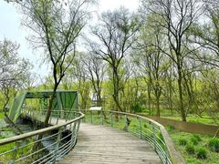 -西湖风景区-江洋畈生态公园