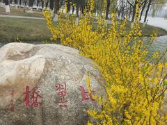 -西安世博园
