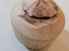 -志龙皇冠吃货椰子铺