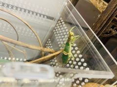 -Rabbit Cafe私房西餐甜点咖啡(栖霞路店)