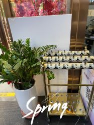 -比华利美容医院